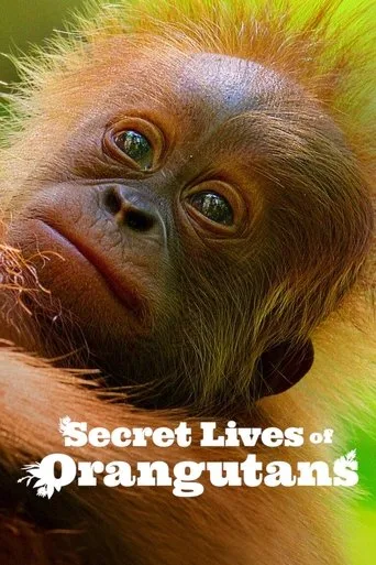 Secret Lives of Orangutans cover