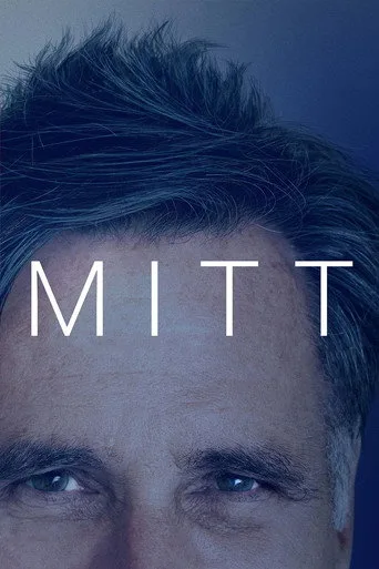 Mitt cover