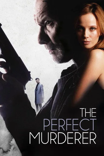 The Perfect Murderer cover