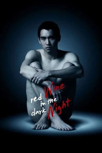 Red Wine in the Dark Night cover