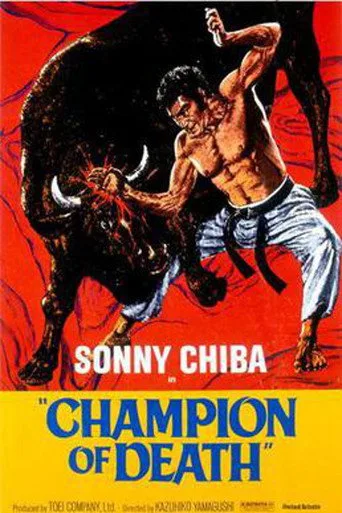 Karate Bullfighter cover