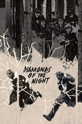 Diamonds of the Night cover