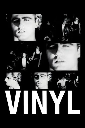 Vinyl cover