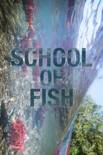 School of Fish cover