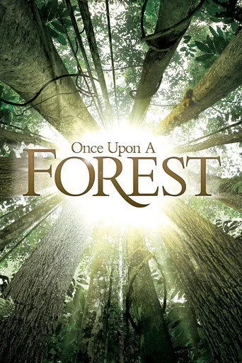 Once Upon a Forest cover