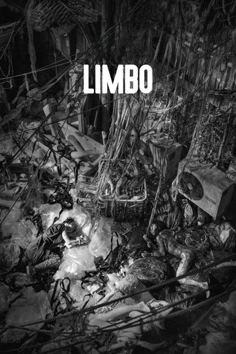 Limbo cover