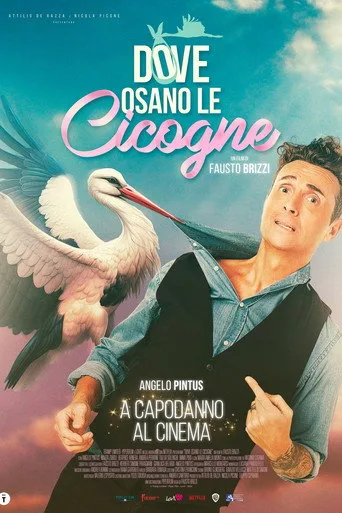 Where Storks Dare cover