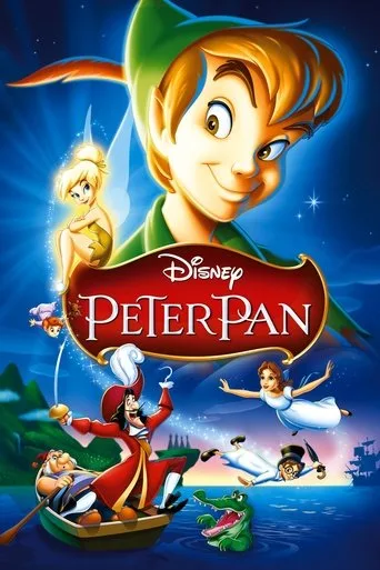 Pan cover
