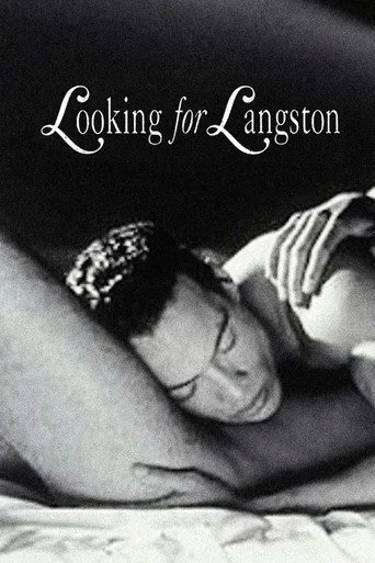 Looking for Langston cover
