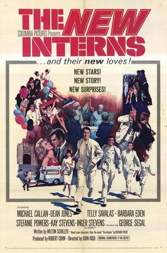 The New Interns cover