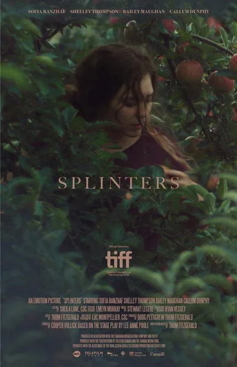 Splinters cover