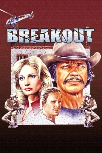Breakout cover