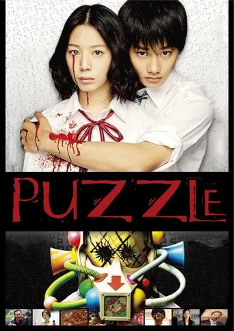 Puzzle cover