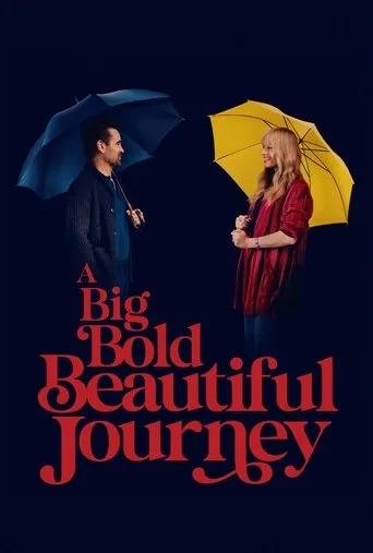 A Big Bold Beautiful Journey cover