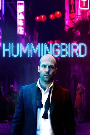 Hummingbird cover