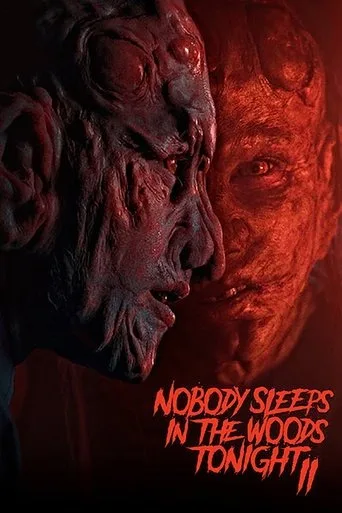 Nobody Sleeps in the Woods Tonight 2 cover