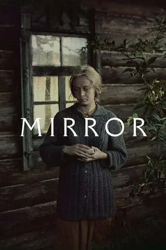 Mirror cover