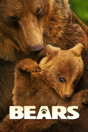 Bears cover