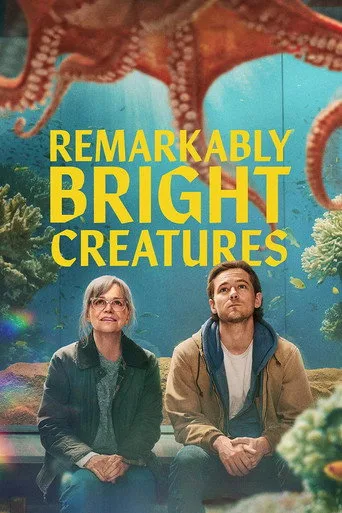 Bright cover