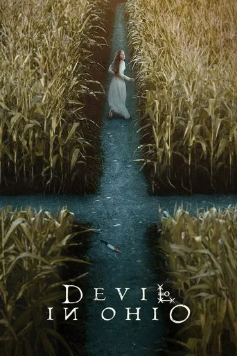 Devil in Ohio cover
