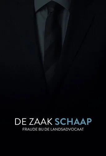 De zaak Schaap: fraude bij de landsadvocaat cover