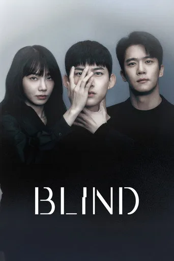 Blind cover