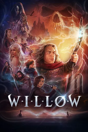 Willow cover