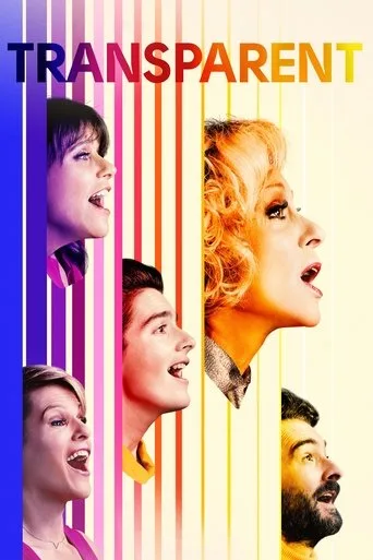 Transparent cover