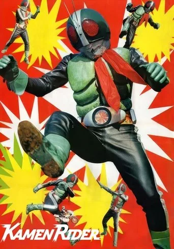 Kamen Rider cover