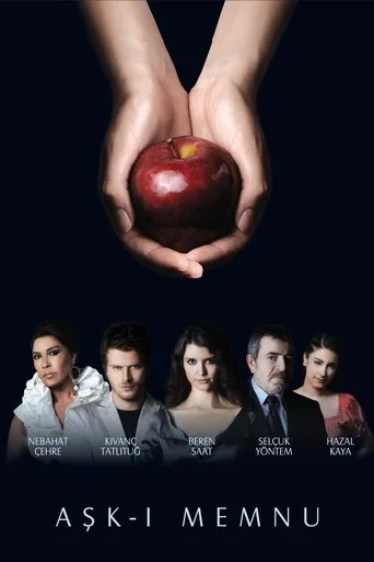 Forbidden Love (2008) cover
