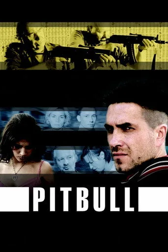 Pitbull cover