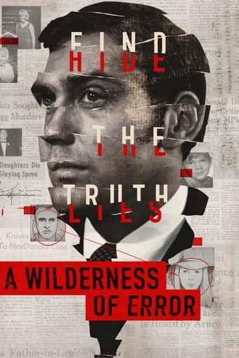A Wilderness of Error cover